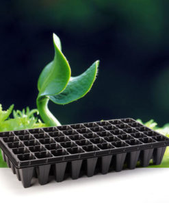 50 Cell Seedling Tray