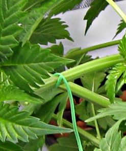 Twist Tie (50 M) - Image 4