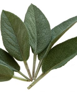 Sage - سیپاکس - Image 4