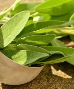 Sage - سیپاکس - Image 2
