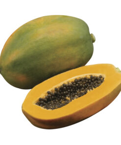 Sinta F1 Papaya