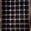 72 holes, 3.5 inch deep seedlind tray