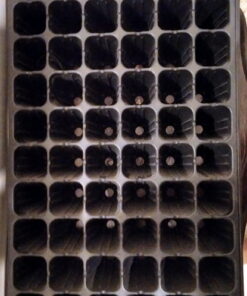 72 holes, 3.5 inch deep seedlind tray