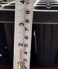 72 holes, 3.5 inch deep seedlind tray