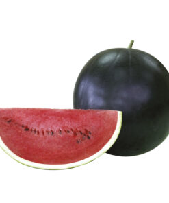 Andaman F1 Hybrid Watermelon