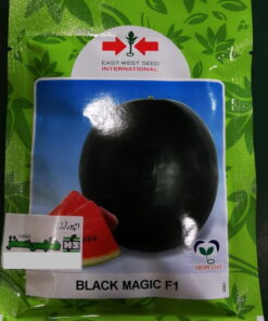Black Magic Watermelon packing