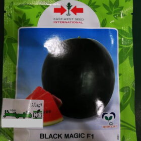 Black Magic Watermelon packing