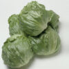Cisco Iceberg Lettuce