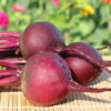 Detroit Supreme F1 Beet Root