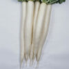 Mino Early Long White Radish