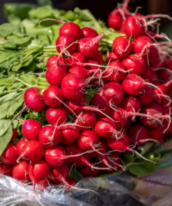 Round Red Radish